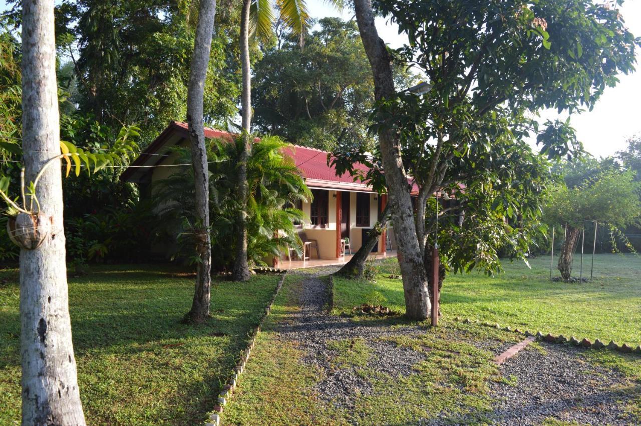 Zum Deutschen Bed and Breakfast Μπεντότα Εξωτερικό φωτογραφία