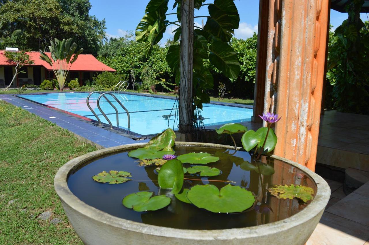 Zum Deutschen Bed and Breakfast Μπεντότα Εξωτερικό φωτογραφία